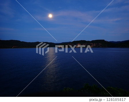 ジャングルと月 ジャングルと月 128105817