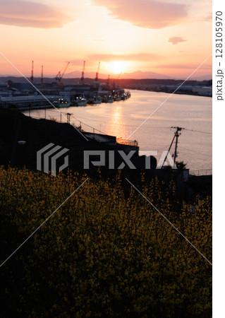 舘鼻公園の菜の花と夕焼けの馬淵川(青森県八戸市) 舘鼻公園の菜の花と夕焼けの馬淵川(青森県八戸市) 128105970