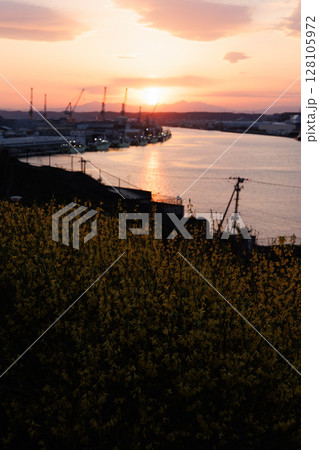 舘鼻公園の菜の花と夕焼けの馬淵川（青森県八戸市） 128105972