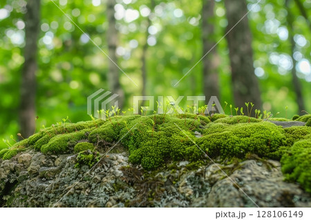 a moss covered rock with small plants growing out of it. generative ai 128106149