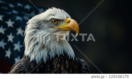 A proud American eagle sits on a branch. AI generated 128106179
