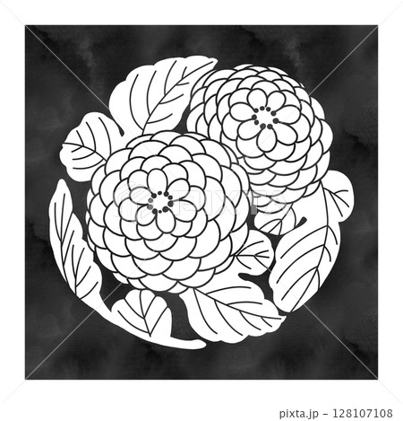 文様「菊」イラスト|水彩風・白抜き・黒四角背景・和柄・日本伝統模様 文様「菊」イラスト|水彩風・白抜き・黒四角背景・和柄・日本伝統模様 128107108