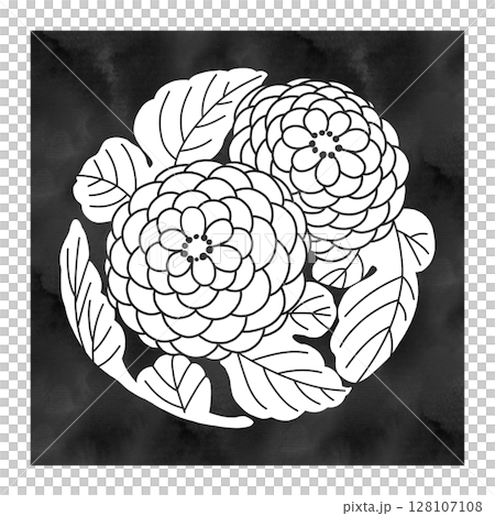文様「菊」イラスト|水彩風・白抜き・黒四角背景・和柄・日本伝統模様 文様「菊」イラスト|水彩風・白抜き・黒四角背景・和柄・日本伝統模様 128107108