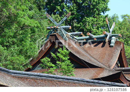 香川県金刀比羅宮本殿の千木鰹木と桧皮葺屋根-3 128107586