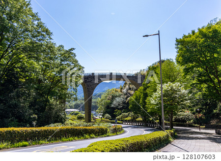 《七沢森林公園》新緑の公園にかかるアーチ橋（神奈川県厚木市） 128107603