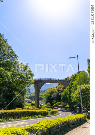 《七沢森林公園》新緑の公園にかかるアーチ橋(神奈川県厚木市) 《七沢森林公園》新緑の公園にかかるアーチ橋(神奈川県厚木市) 128107604