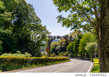 《七沢森林公園》新緑の公園にかかるアーチ橋（神奈川県厚木市） 128107612