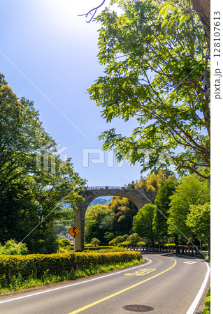 《七沢森林公園》新緑の公園にかかるアーチ橋（神奈川県厚木市） 128107613