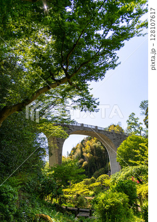 《七沢森林公園》新緑の公園にかかるアーチ橋(神奈川県厚木市) 《七沢森林公園》新緑の公園にかかるアーチ橋(神奈川県厚木市) 128107617