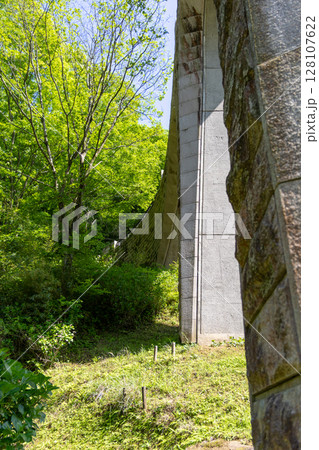 《七沢森林公園》新緑に包まれたアーチ橋(神奈川県厚木市) 《七沢森林公園》新緑に包まれたアーチ橋(神奈川県厚木市) 128107622