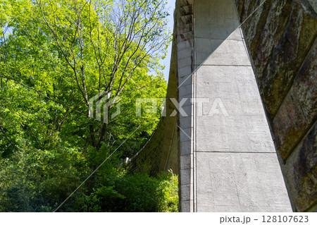 《七沢森林公園》新緑に包まれたアーチ橋(神奈川県厚木市) 《七沢森林公園》新緑に包まれたアーチ橋(神奈川県厚木市) 128107623