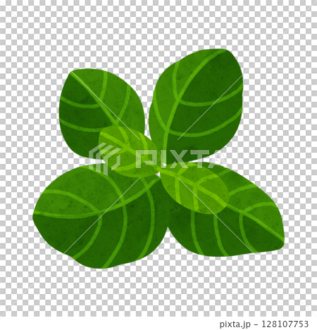 スイートバジル　水彩風手描きイラスト 128107753