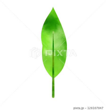 シンプルな葉っぱ木のイメージ素材イラスト 手書き水彩風 png白バック シンプルな葉っぱ木のイメージ素材イラスト 手書き水彩風 png白バック 128107847