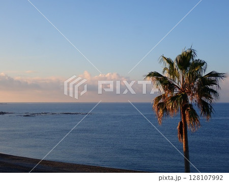 志原海岸 志原海岸 128107992