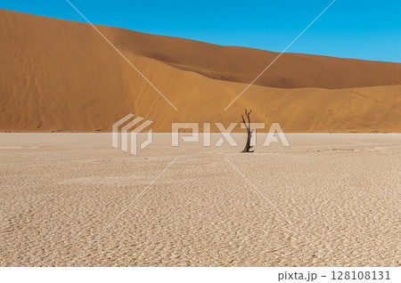 Barren landscape near Deadvlei and sossusvlei 128108131