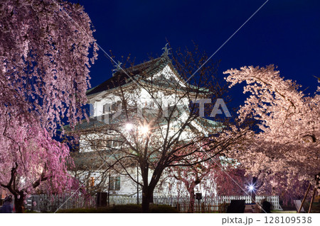 青森県弘前市下白銀町弘前公園 ベニシダレザクラなどの夜桜ライトアップに囲まれた弘前城天守閣夜景 青森県弘前市下白銀町弘前公園 ベニシダレザクラなどの夜桜ライトアップに囲まれた弘前城天守閣夜景 128109538