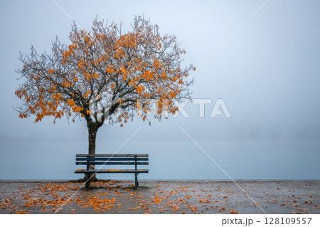 Empty park bench beneath bare autumn tree with fallen orange leaves scattered, mist in air, and overcast sky 128109557