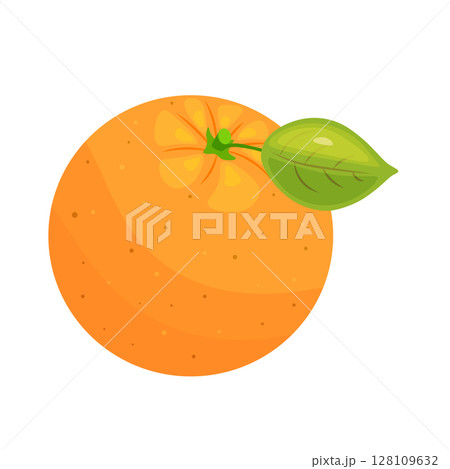 Fresh orange, hand drawn view of whole orange fruit with leaf. 128109632