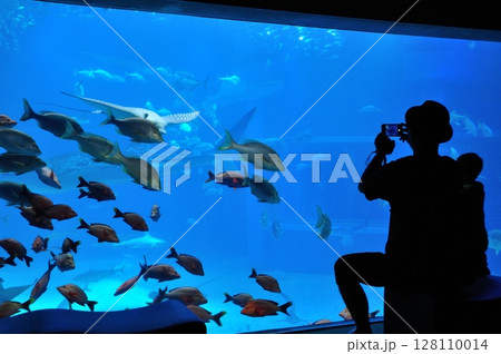 水族館の水槽を見る親子 128110014