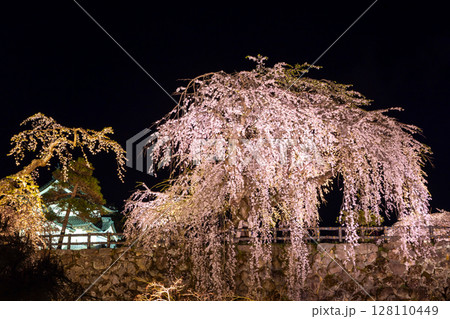 青森県弘前市下白銀町弘前公園　ベニシダレザクラなどの夜桜ライトアップと弘前城天守閣夜景 128110449