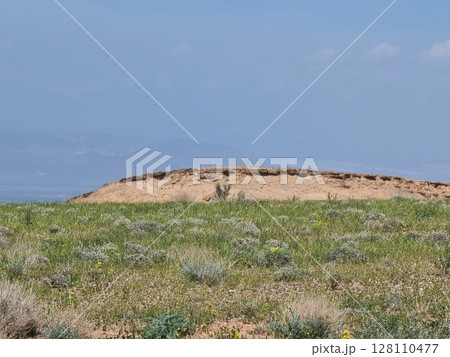 Amazing View Of Desert In The Background 128110477