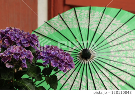 紫陽花と寺 128110848