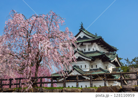 青森県弘前市下白銀町弘前公園　ベニシダレザクラに囲まれた青空の弘前城天守閣の景色 128110959