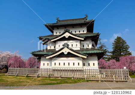 青森県弘前市下白銀町弘前公園 ベニシダレザクラに囲まれた青空の弘前城天守閣の景色 青森県弘前市下白銀町弘前公園 ベニシダレザクラに囲まれた青空の弘前城天守閣の景色 128110962