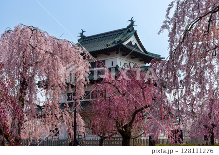 青森県弘前市下白銀町弘前公園　ベニシダレザクラやソメイヨシノに囲まれた青空の弘前城天守閣の景色 128111276