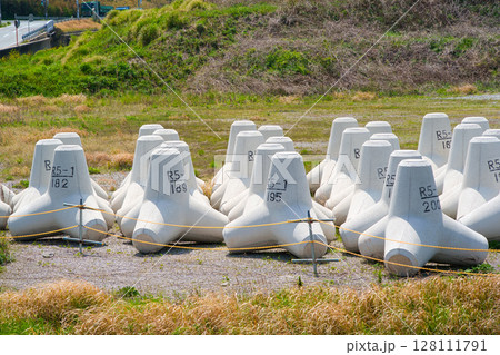 空き地に置かれた消波ブロック 空き地に置かれた消波ブロック 128111791
