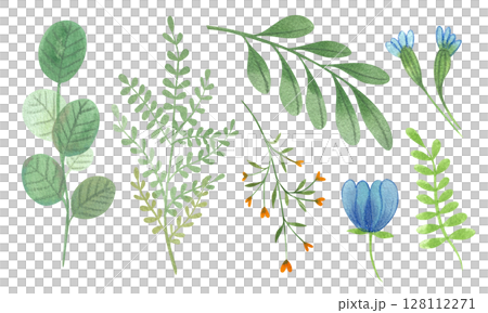Set of flowers, leaves, floral watercolor illustrations hand drawn isolated on white background. Spring and summer set of colorful plants.	 128112271