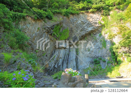 兵庫県 豊岡市 玄武洞公園 青龍洞と紫陽花 128112664
