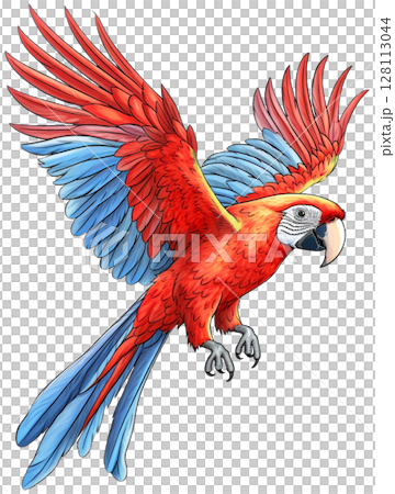 Parrot 128113044