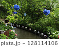 あじさい 128114106