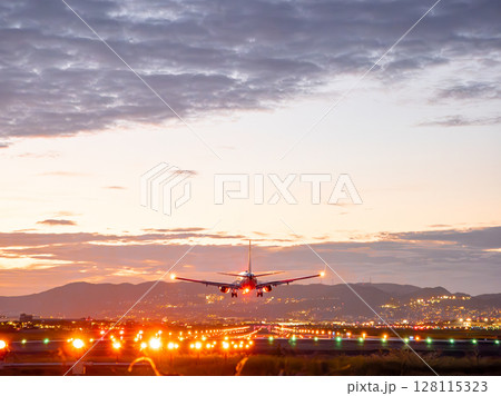 ジェット機の黄昏れランディング 128115323