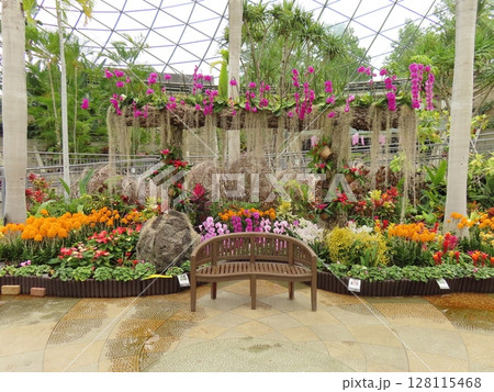 ベンチと花 128115468