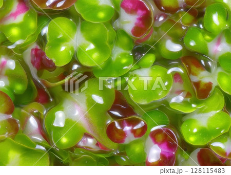 Micro green sprouts are growing in my window garden, as seen in this isolated macro of a beet microgreen 128115483