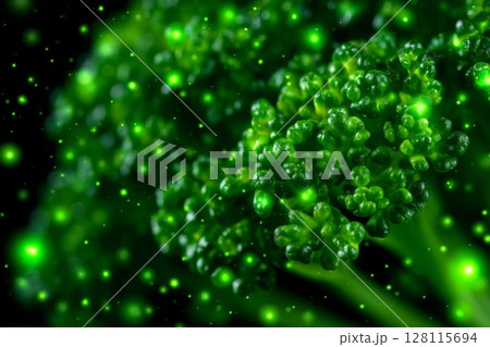 A close-up of young parsley microgreen sprouts, a natural food source 128115694