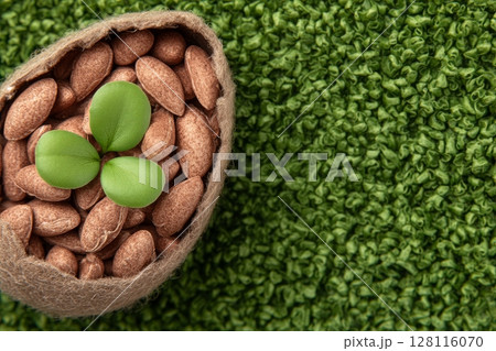 Using eggshells to grow microgreens watercress indoors at home 128116070