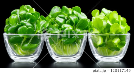 Detox salads presented on white can be made with organic plant-based microgreens 128117149