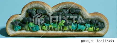 A sandwich or bread that is healthy and topped with microgreens such as garlic seedlings or sprouts 128117354