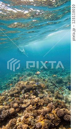 Underwater Coral Reef Ecosystem with Colorful Fish and Sunlight Rays 128118010