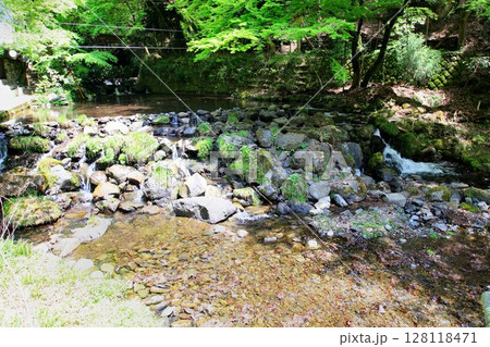 京都・貴船を流れる清流…【貴船川】 128118471