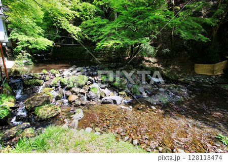 京都・貴船を流れる清流…【貴船川】 128118474
