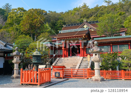 和歌山市 紀州東照宮 唐門 和歌山市 紀州東照宮 唐門 128118954