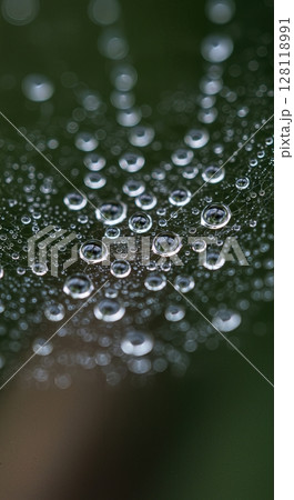 Macro Water Droplets on Spider Web with Morning Dew and Reflections Macro Water Droplets on Spider Web with Morning Dew and Reflections 128118991