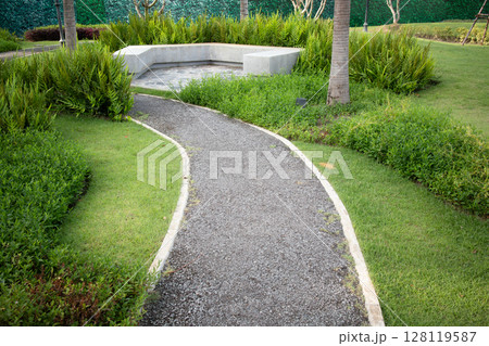 Walkway and plant in garden. Walkway and plant in garden. 128119587