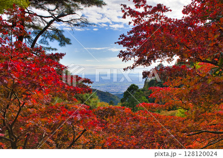【神奈川県】大山寺の紅葉 【神奈川県】大山寺の紅葉 128120024