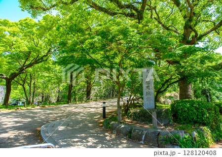 福岡城址　福岡城跡の入口の石碑 128120408
