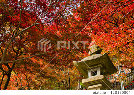 【神奈川県】大山寺の紅葉 【神奈川県】大山寺の紅葉 128120804